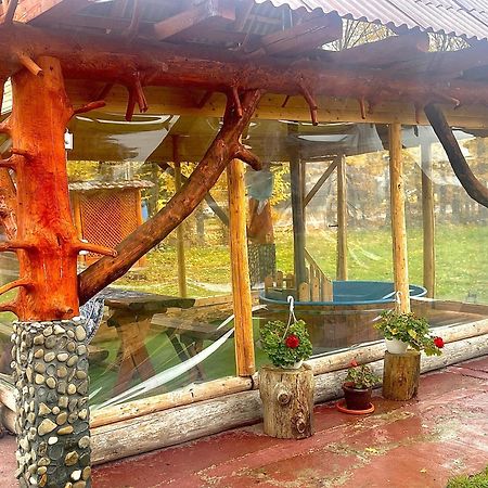 Casa Marinca Hotel Ocna Şugatag Eksteriør billede